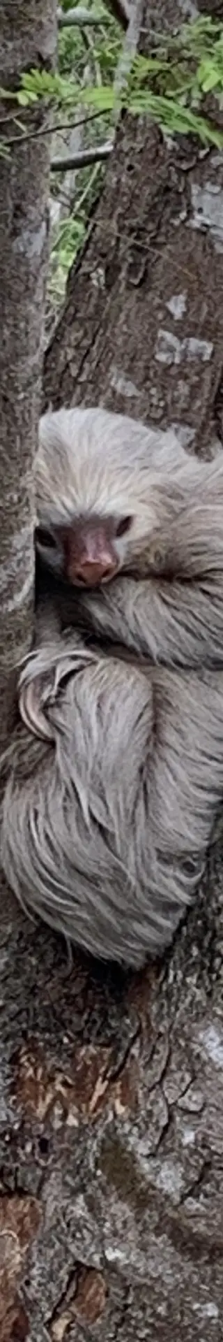 Überraschungsbesuch